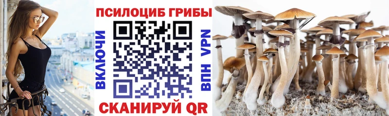 где купить наркоту Тарко-Сале omg ТОР Псилоцибиновые грибы GOLDEN TEACHER